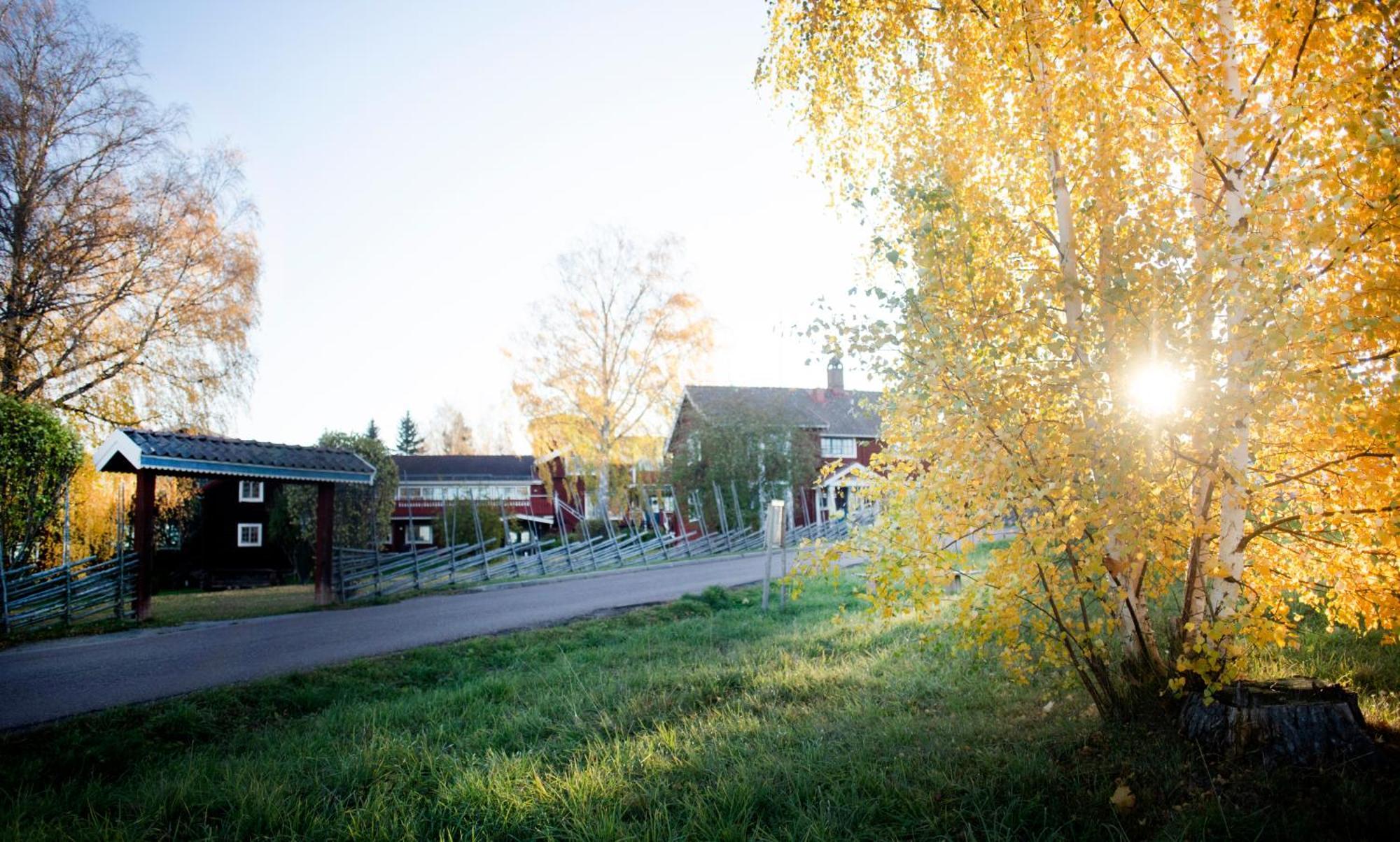 Akerblads Hotell Gastgiveri Spa Tällberg Exterior foto